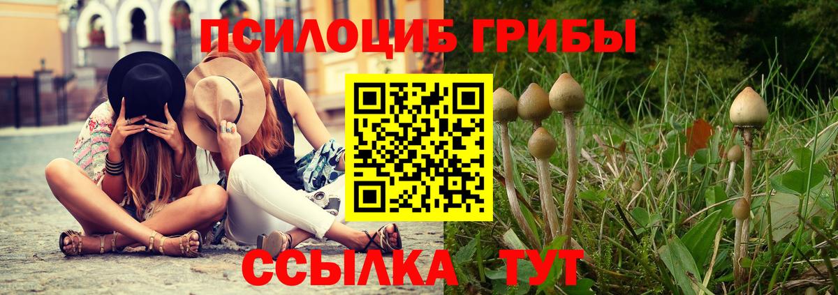 Галлюциногенные грибы мухоморы Лыткарино